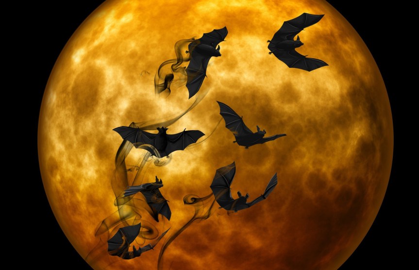 halloween bats