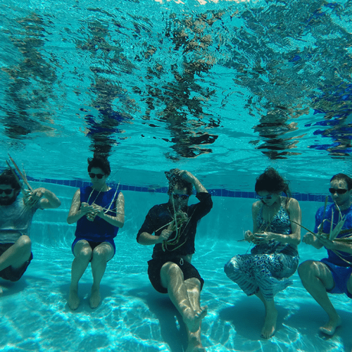 underwaterbasket-500x500