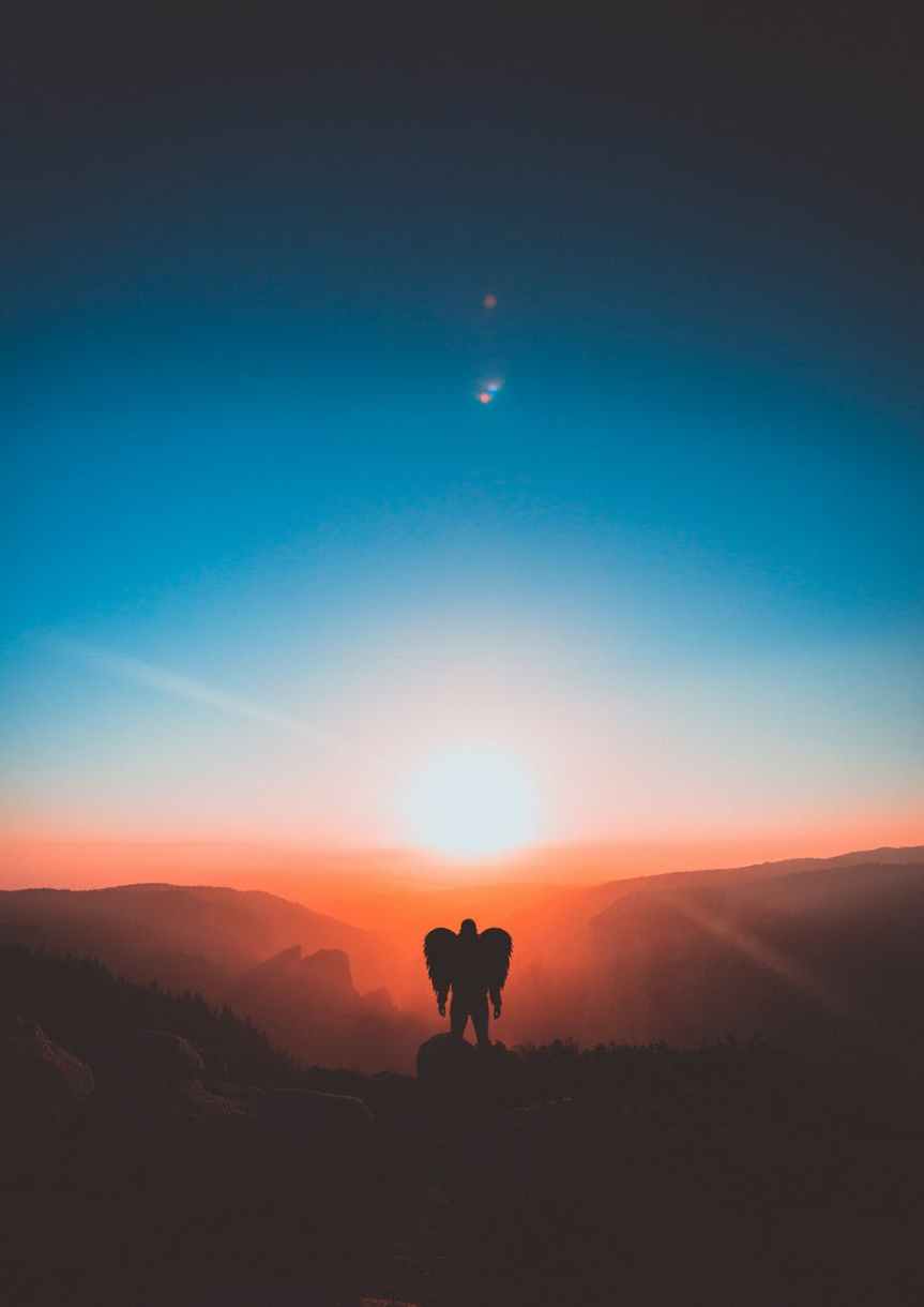 man with wings standing on brown mountain peak