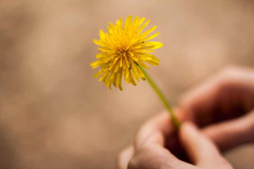 woman holding flower